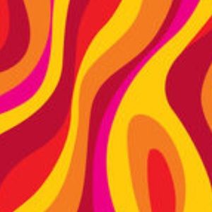 Meet your Posher, Kaitlyn